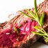 ¿Puede la carne roja volverse más saludable?